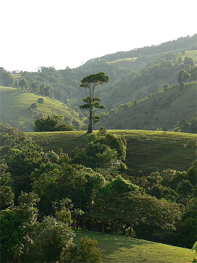 Atherton Tablelands