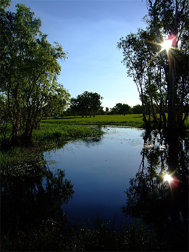 Miroir d'eau � Kakadu