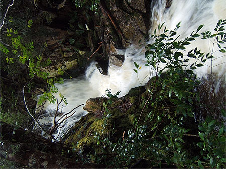 Cascade