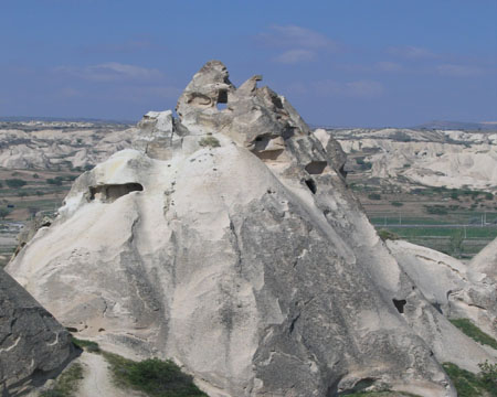 Le gorille et la lionne