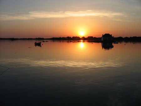 Saint Cado