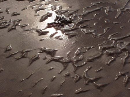 d�sert de cote d'armor