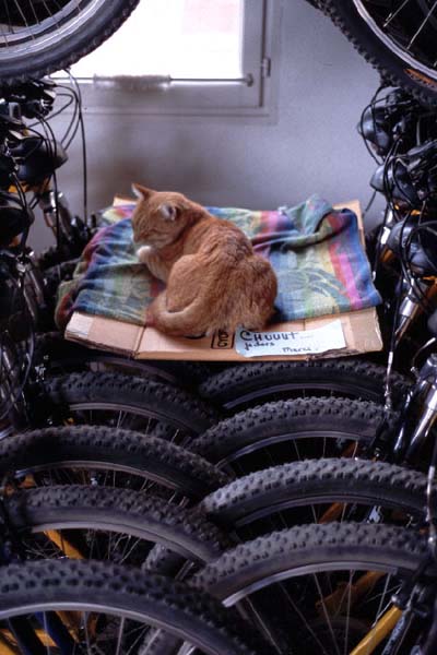 Il est libre le velo au fond ?