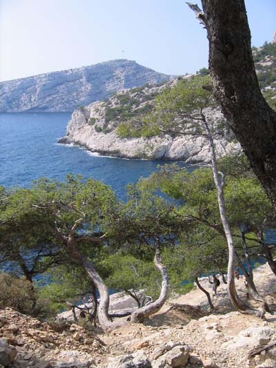 vue de la c�te avant la calanque du Sugiton