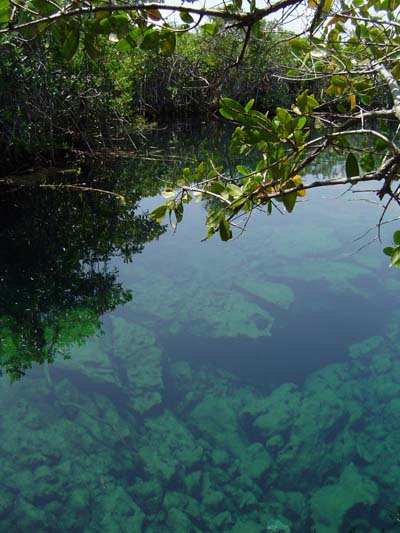 Cenote