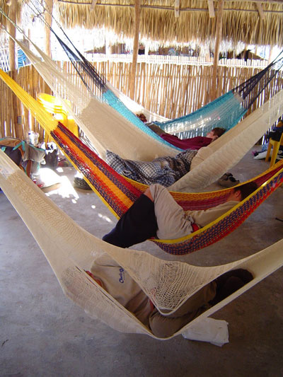 Hamacs sous une palapa