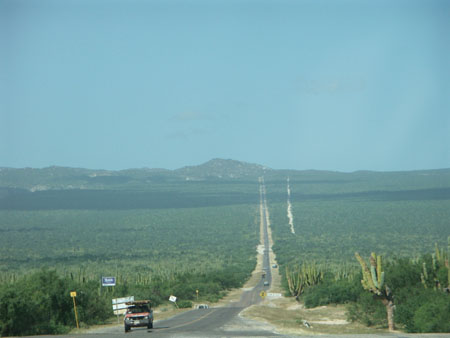 Route au milieu des cactus