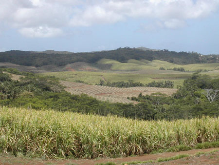 Sur la routes des chutes de Tamarin