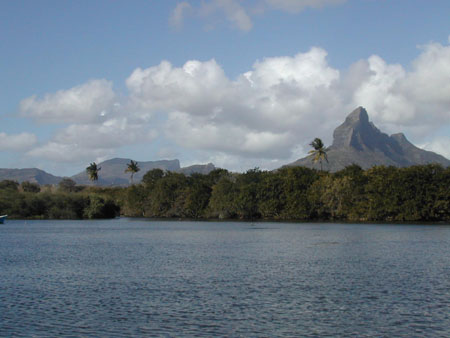 Tamarin, entre montagne et pal�tuviers