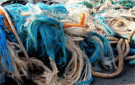 filets de peche a barfleur