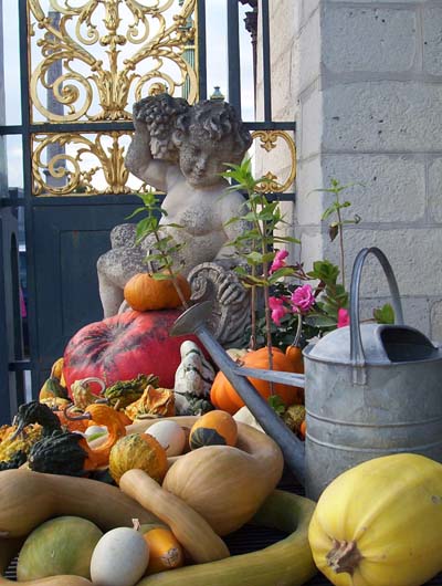 l�gumes d'ange