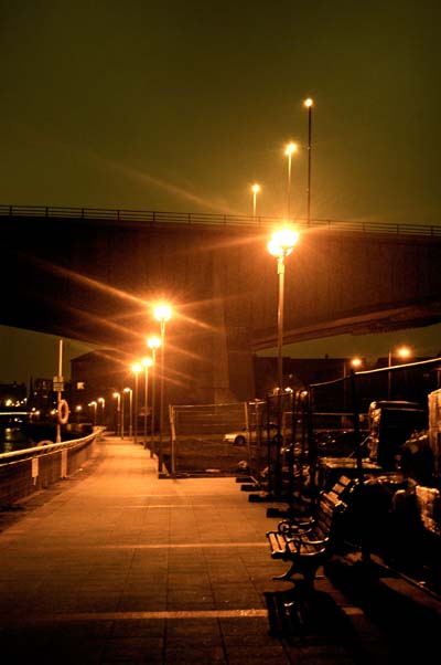 Solitudes ensoleill�es du milieu de la nuit