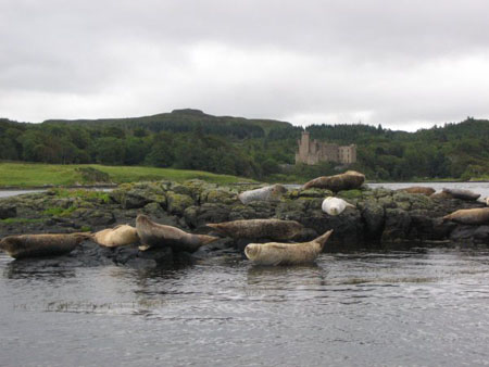 Dunvegan Castle