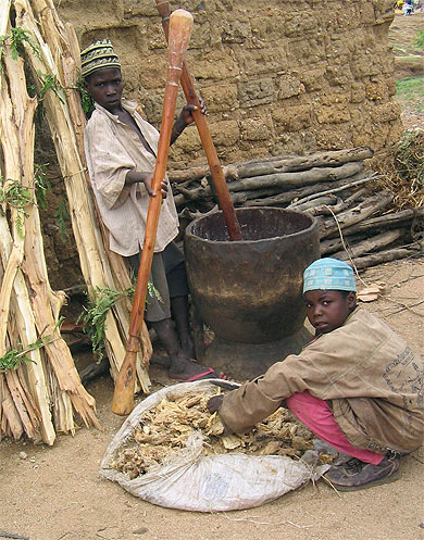 Gar�ons Camerounais qui �crasent le gras d'animal...