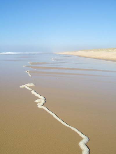 Cap-Ferret