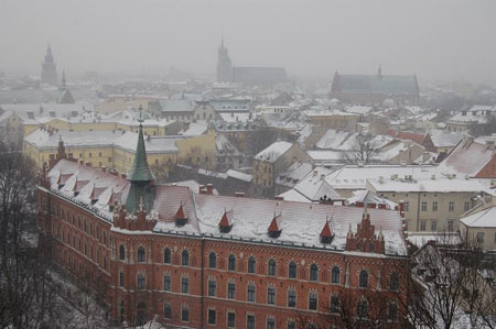 Cracovie, vue depuis la cath�drale