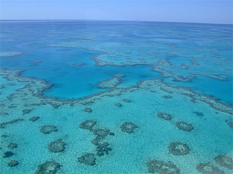 Pr�t pour un plongeon