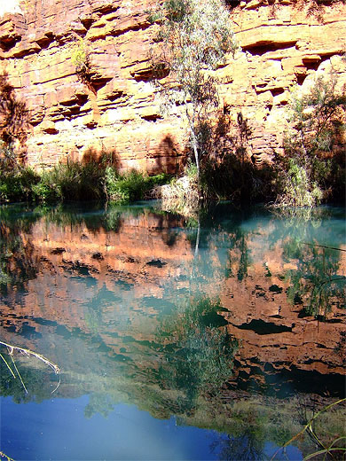 Nature en trompe l'oeil