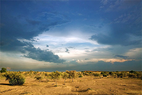 D�sert de Jaisalmer