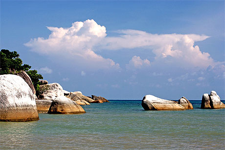 Un petit go�t de paradis...