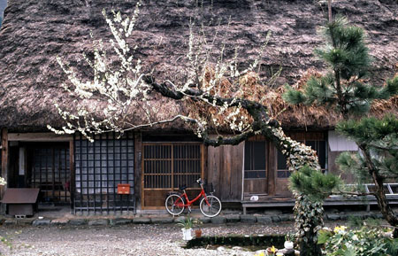Maison traditionnelle � Shirakawa
