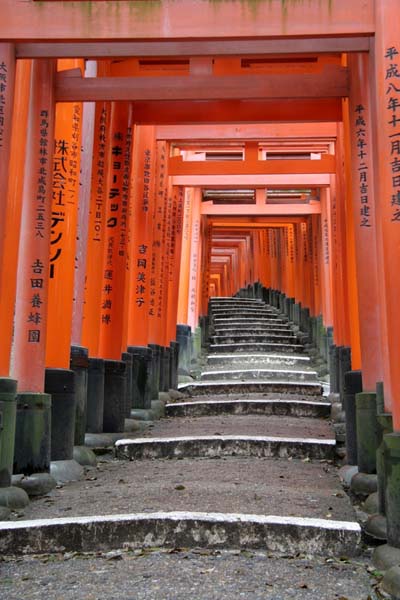 Torii