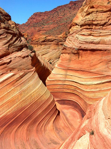 Coyote buttes North: The wave