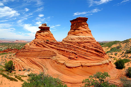 Coyote buttes South: Cottonwood
