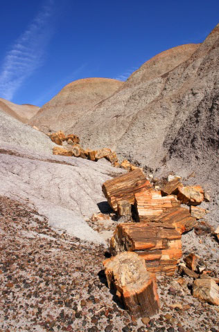 Blue mesa trail