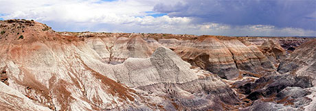 Petrified forest