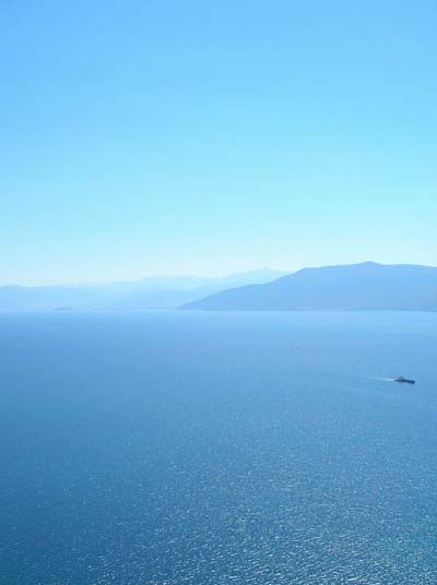 Bleu