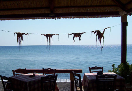 Bon Appetit!