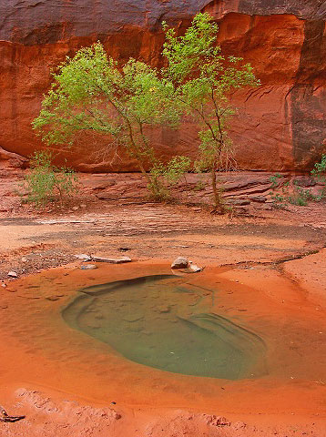 Negro bill canyon