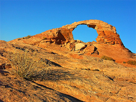 Arsenic arch