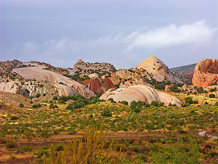 Cub creek area