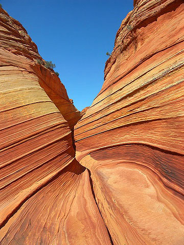 Coyote buttes North: The wave