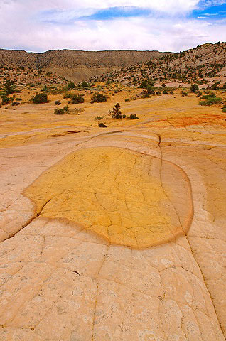 Yellow rock