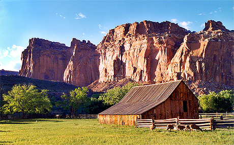 Oasis de Fruita