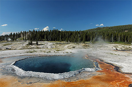 Crested Pool
