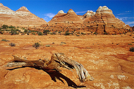 Coyote Buttes