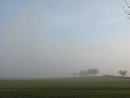 Nebel