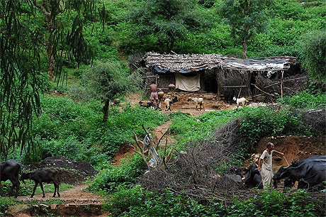 Village 