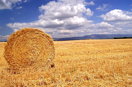 Moisson