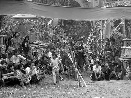 Enterrement toraja