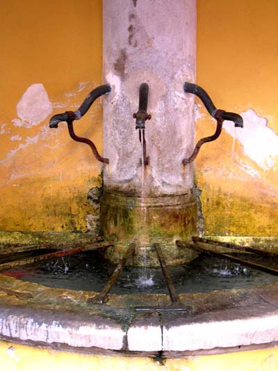Vence