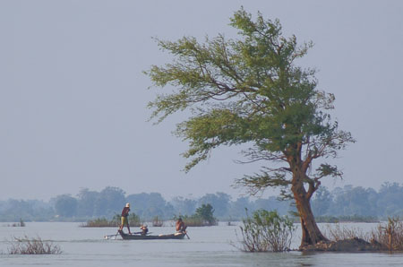 L'arbre et les p�cheurs