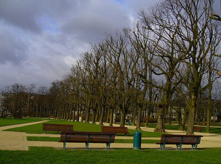 Gazon du Parc du Cinquantenaire