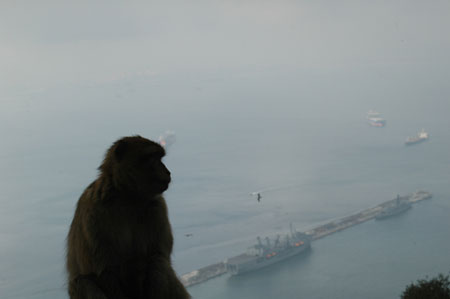 Choc des cultures � Gibraltar