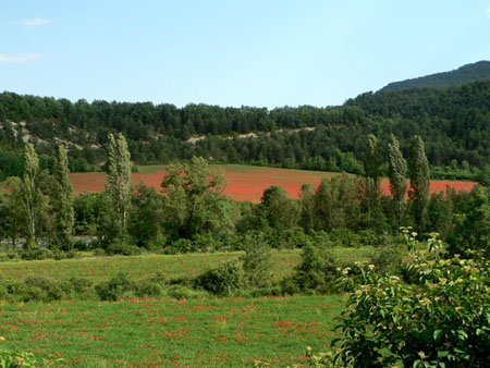 Le printemps dans l'Aragon