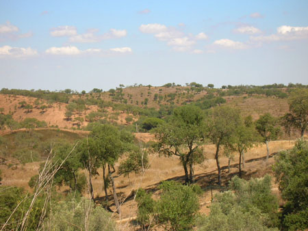 Vue de l'int�rieur de l'Alentejo
